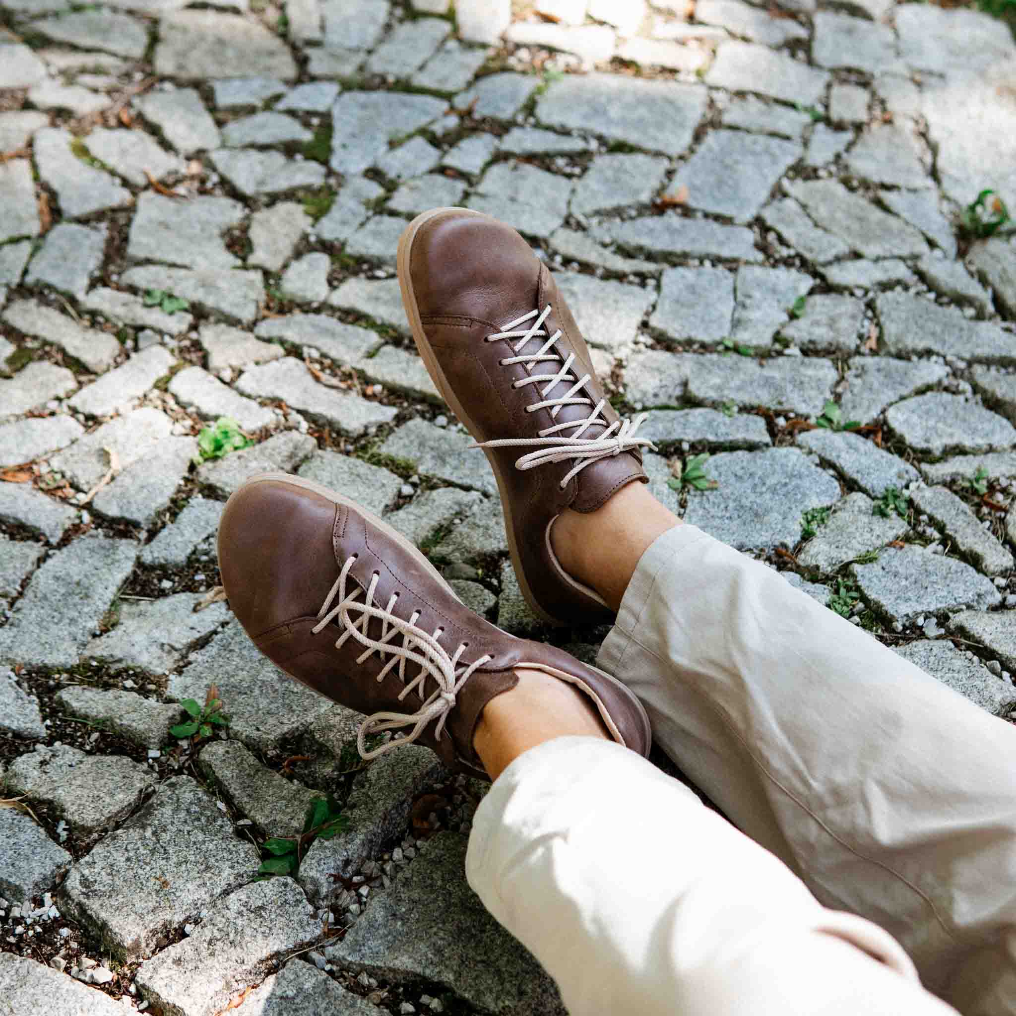 Tommy MAX Chocolate/Gum